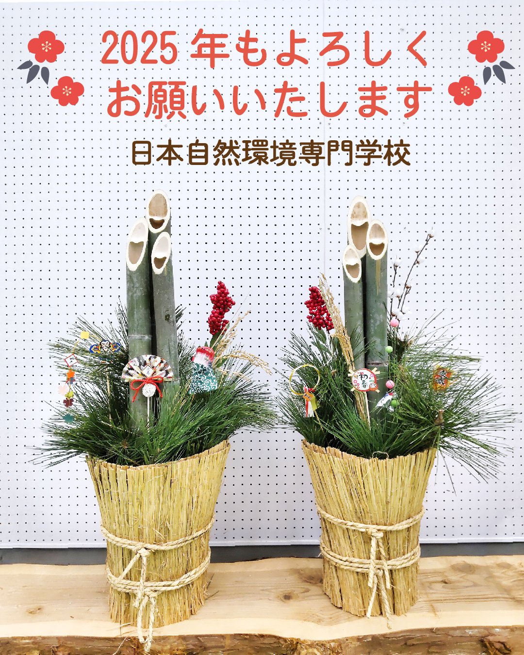 新潟の正月